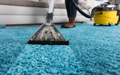 Comment laver un tapis de salon ?
