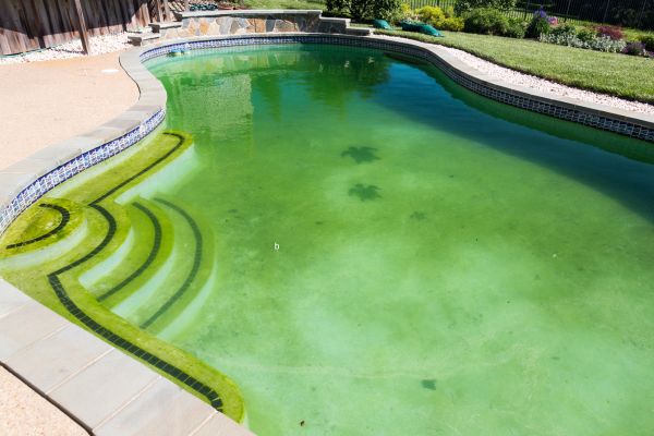 Que faire si l'eau de ma piscine est verte Que faire si l'eau de ma piscine est verte
